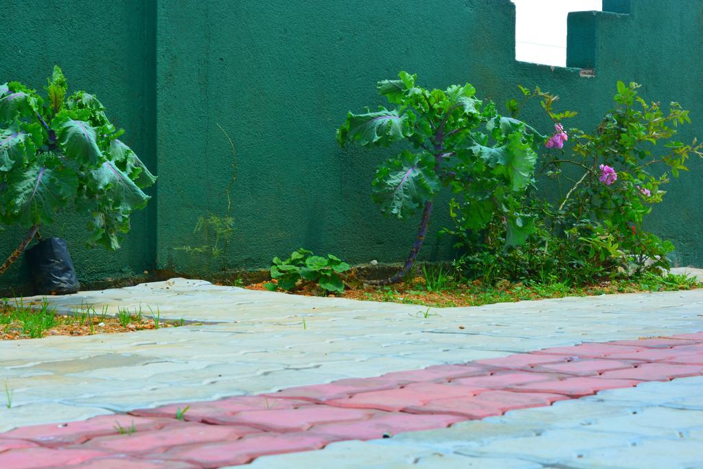 Guest House Hill Paradise Νουβάρα Ελίγια Εξωτερικό φωτογραφία